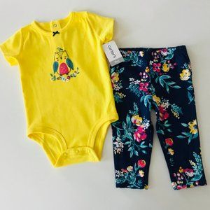 Baby Girl Clothes Owl Bodysuit & Pants Set Outfit